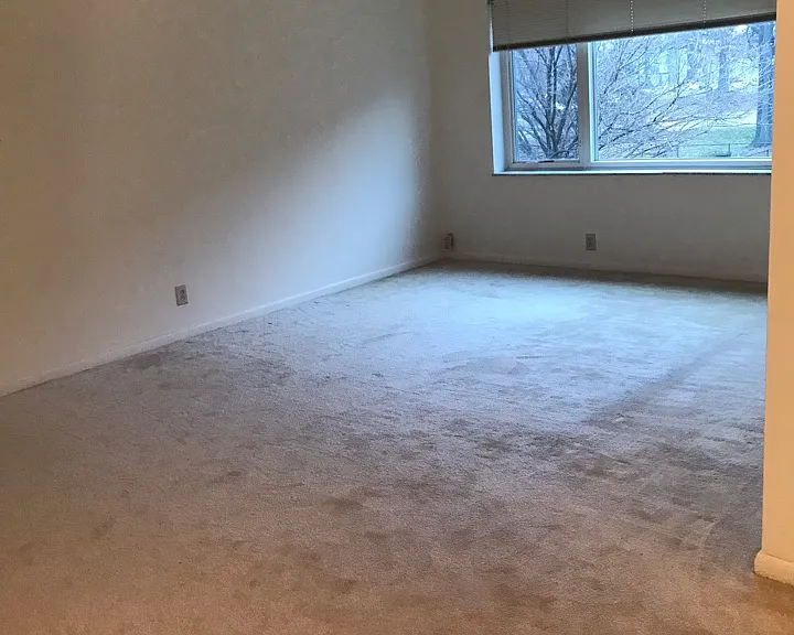 9020 Eager Rd #2A — Photo 6