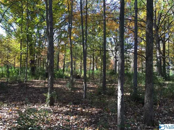 Rivermont Bnd, Somerville, AL 35670