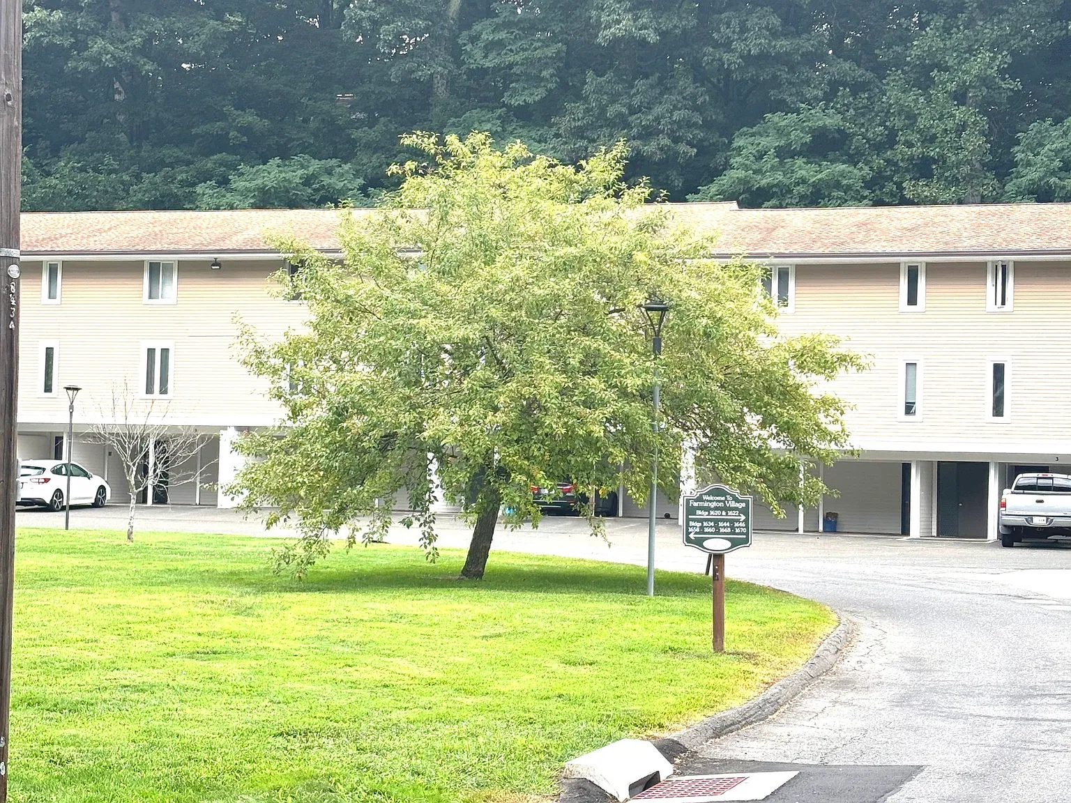 1 bed, 1.0 bath, 704 sqft, $1,700 — Photo 2