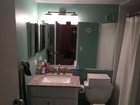 Lower Level Bathroom
