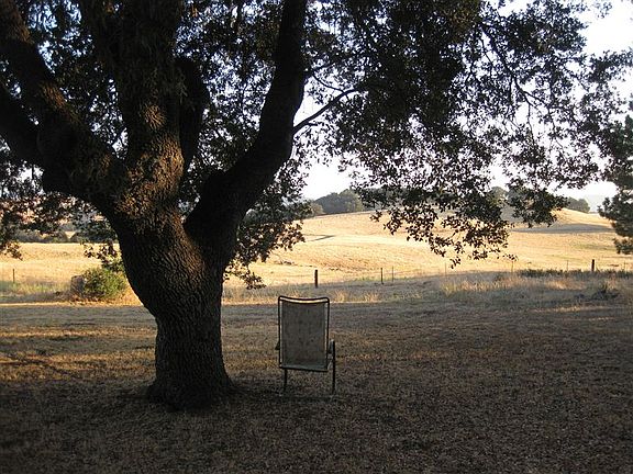 Huge Shade trees, awesome views forever!
