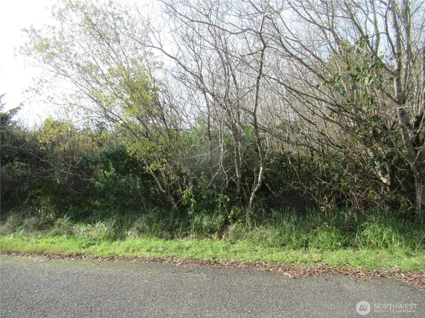 12 Driftwood Drive, Ocean Shores, WA 98569