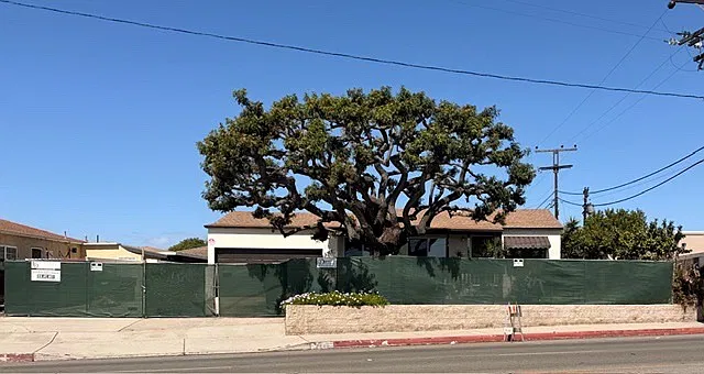 3 bed, 1318 sqft, $4,700 — Photo 4