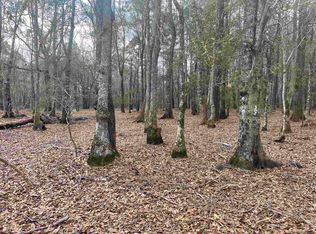 Tbt Harrison Rd, Salters, SC 29590