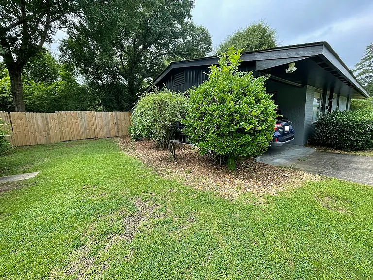 Front yard 2