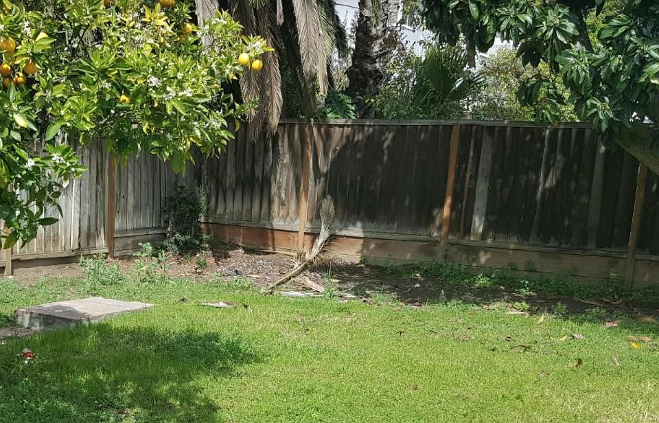 2nd image of 338 Valley View Ave