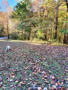 LOT 49 Gap Bridge Rd, Moneta, VA, 24121