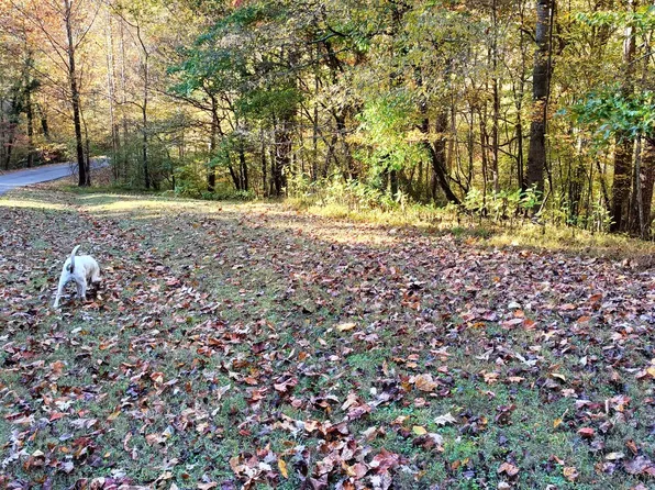 LOT 49 Gap Bridge Rd, Moneta, VA 24121