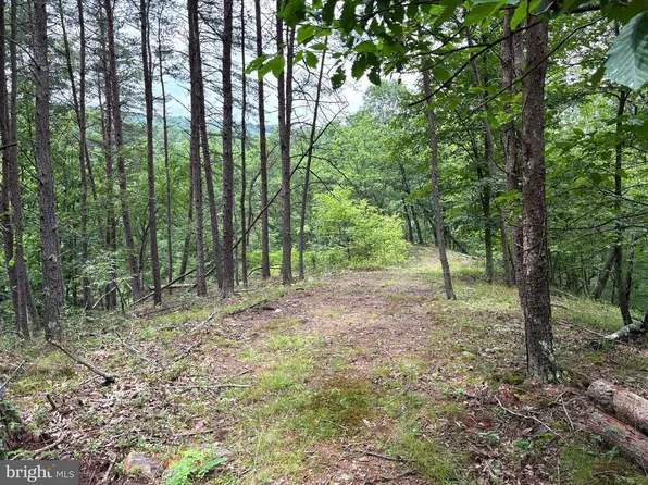 LOT 126 Bluffs Blue Beach Rd, Springfield, WV 26763