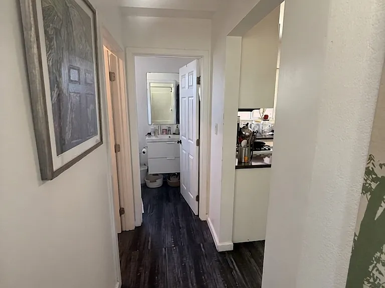 Hallway (lead to 2 baths downstairs)