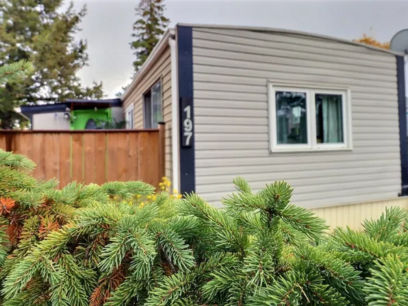 197 Evergreen Park NW, Edmonton, AB T5Y 4M2