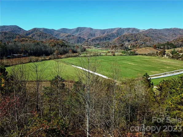 99999 Hendl Way, Leicester, NC 28748