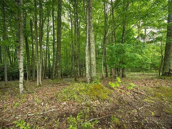 2nd image of Lot 113 Eagle Park Drive