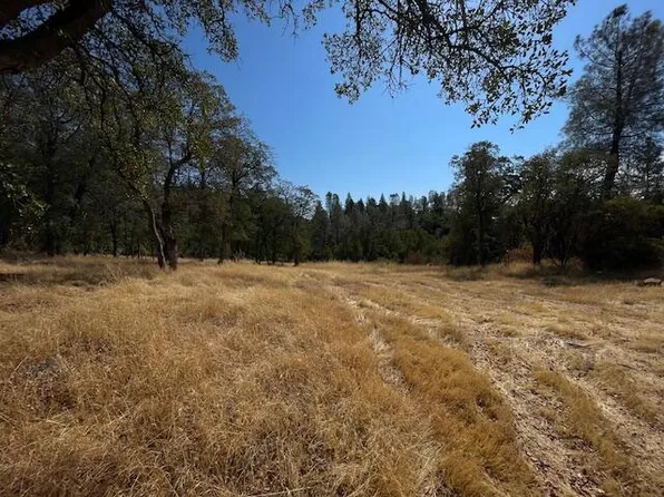 1 Madison Ave, Oak Run, CA 96069