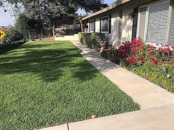 Front Yard
