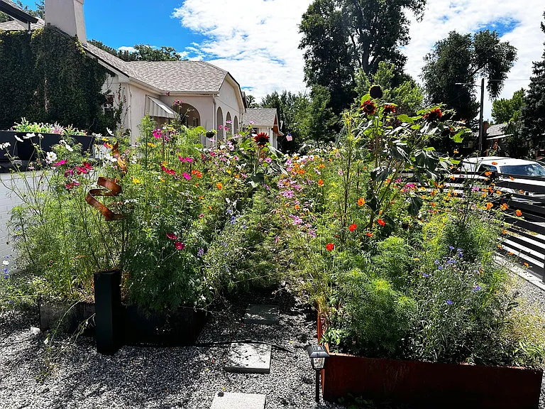Front yard garden beds can be flower garden or vegetable garden. Drip lines installed for easy maintenance