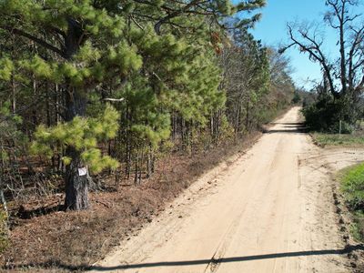 0 Ennis School Rd, Sylvania, GA, 30467