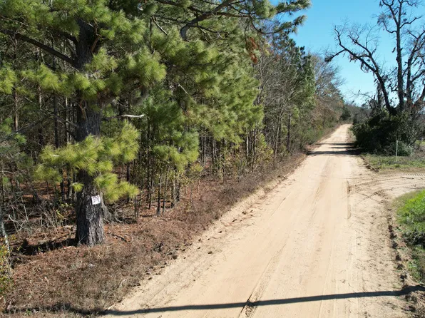 0 Ennis School Rd, Sylvania, GA 30467