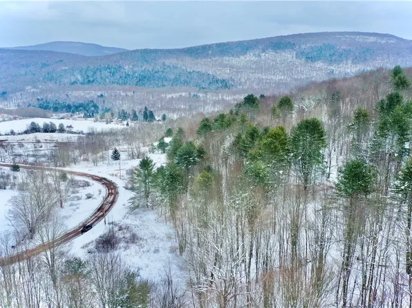 Quail Ridge Rd, Margaretville, NY 12455