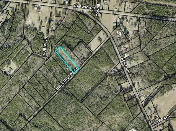 TBD Oglethorpe Dr., Andrews, SC 29510
