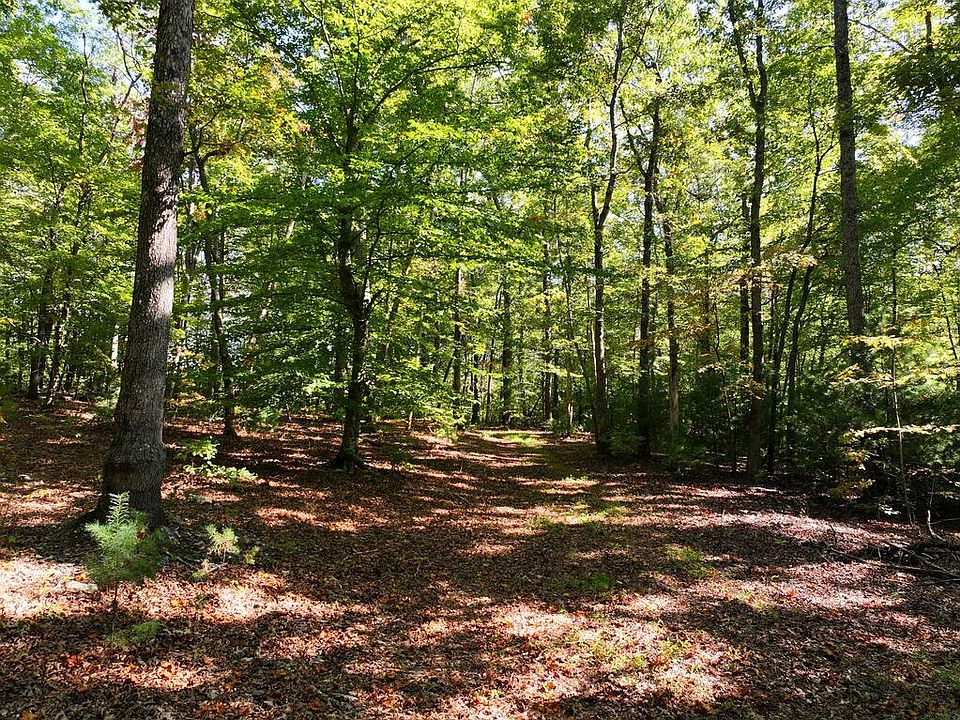 4th image of 0 Heidelbach School Rd