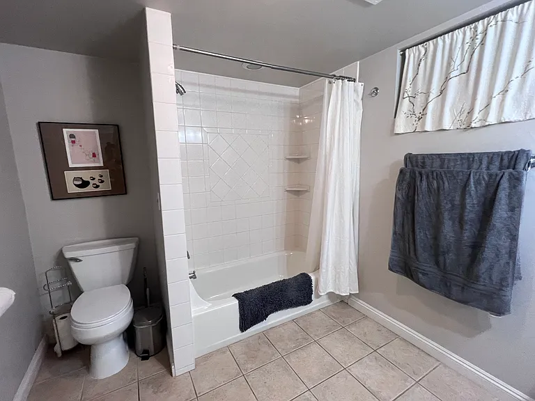 Lower level bathroom