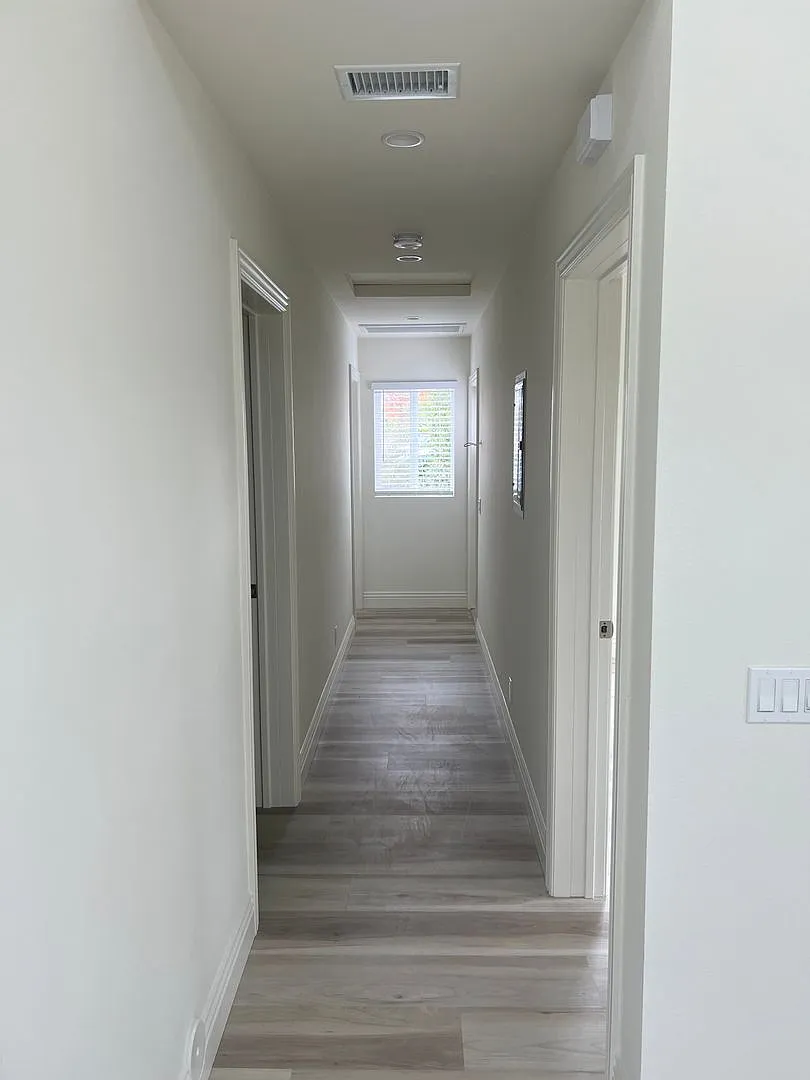 Hillandale Palms — Photo 4