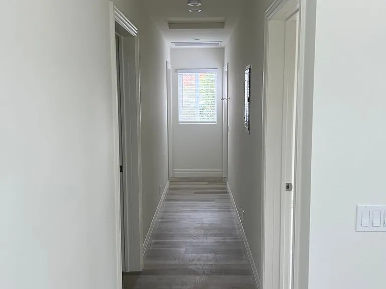 Hillandale Palms — Photo 4