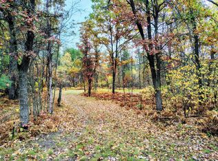 V/l 385ac Brown Rd, Cadillac, MI 49601