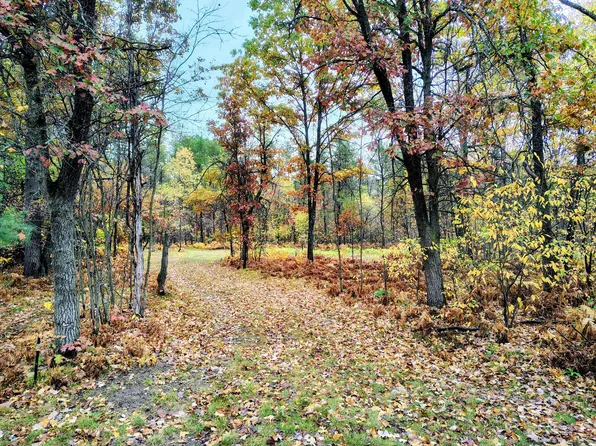 V/l 385ac Brown Rd, Cadillac, MI 49601