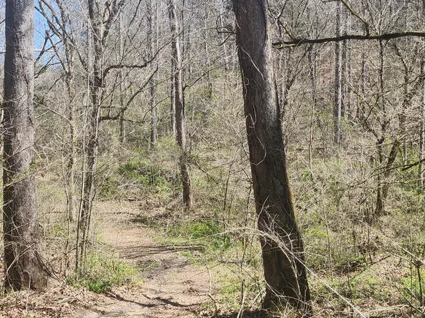 LOT 1 Mill Pond Hollow Rd, Maynardville, TN 37807