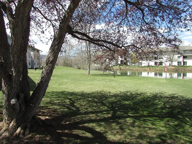 1705 Heatheridge Rd #I204 — Photo 19
