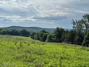 1st image of Collier Ln