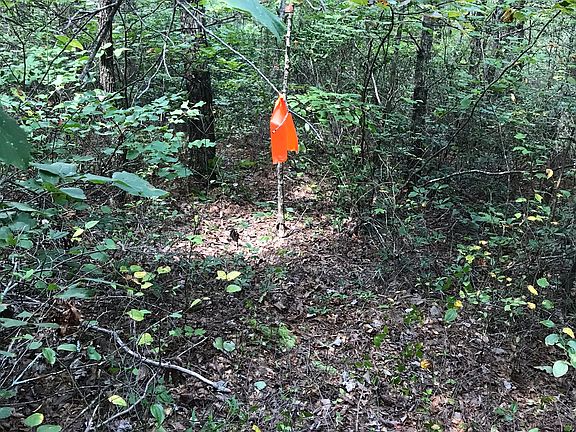 5th image of 6255 Wilderness Edge Trl