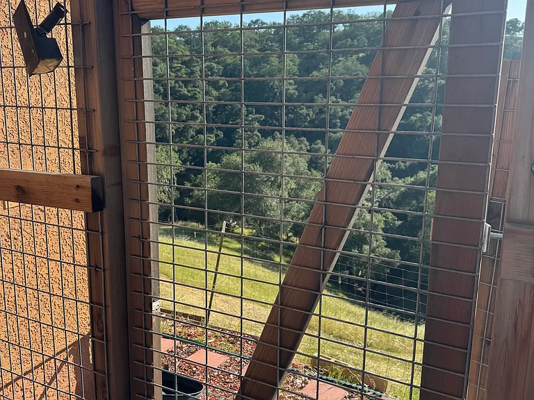entry to private backyard with views and open space. 200 acre oak forest is in our backyard