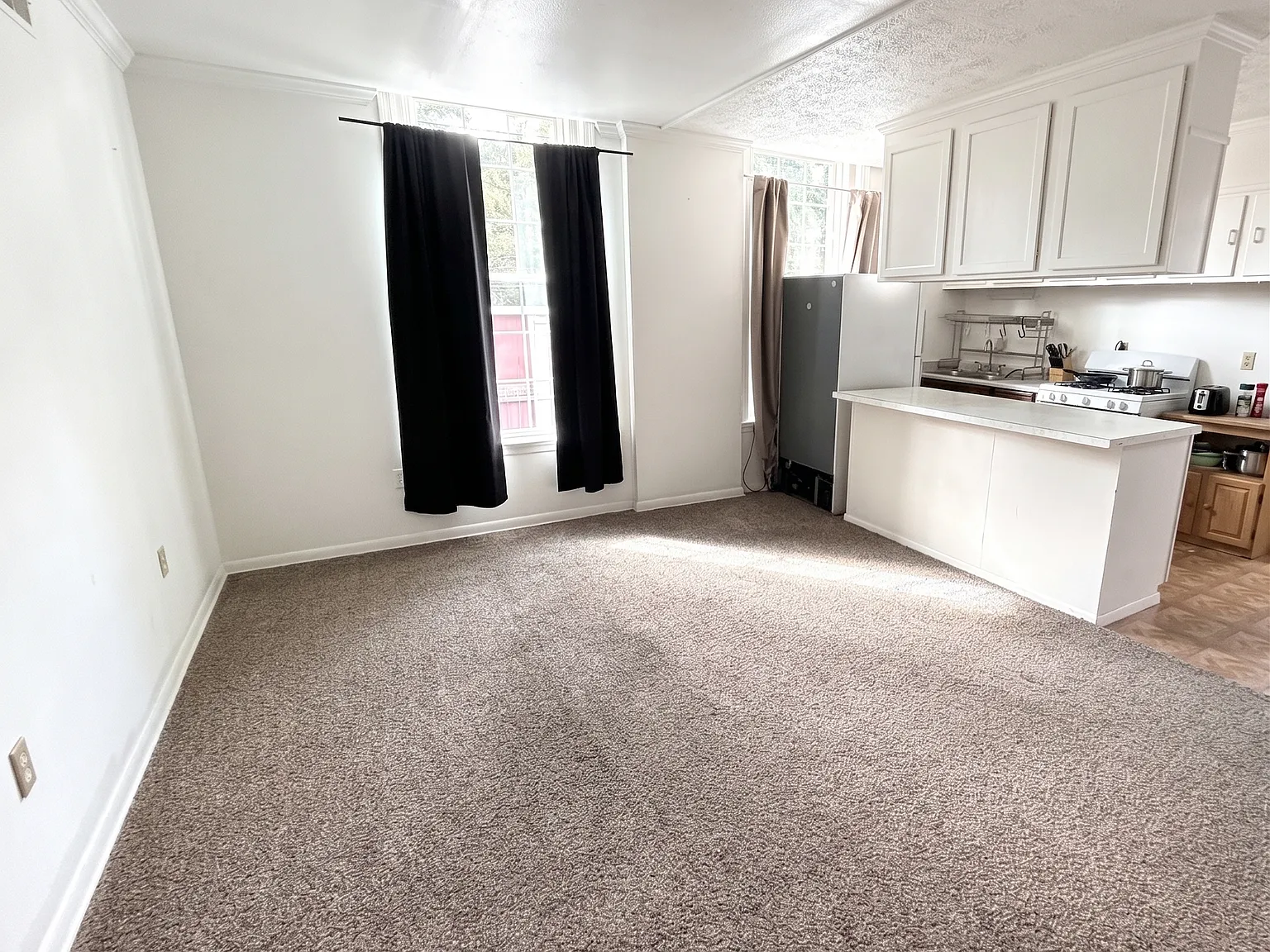 1 bed, 600 sqft, $600 — Photo 2