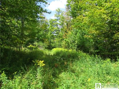 8250 Dobson Rd, Almond, NY, 14804