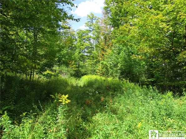 8250 Dobson Rd, Almond, NY 14804