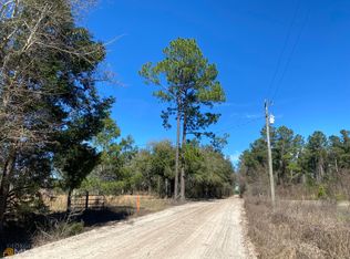 20 Ray Rd, Damascus, GA 39841