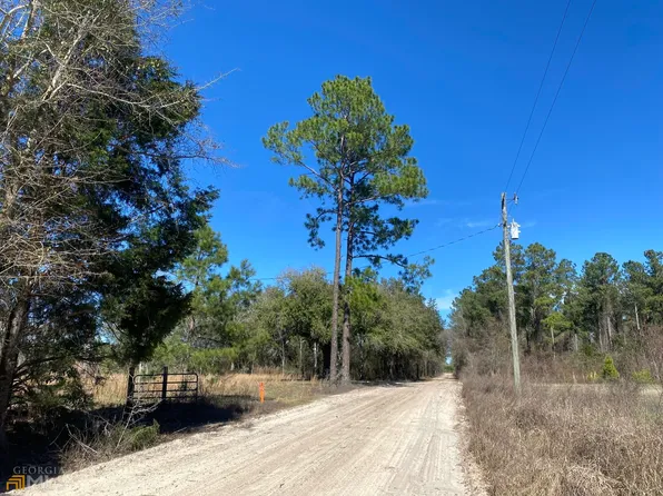 20 Ray Rd, Damascus, GA 39841