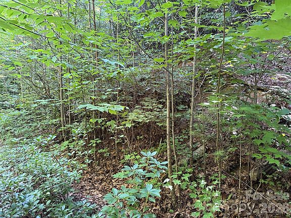 5th image of Casey Mountain Rd #222