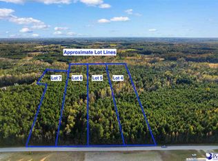 Oneal Rd LOT 4, Loris, SC 29569