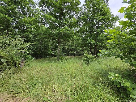 2nd image of 295 Black Oak Rd