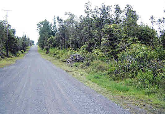 1st image of 11-3521 Hibiscus St Lot 7422