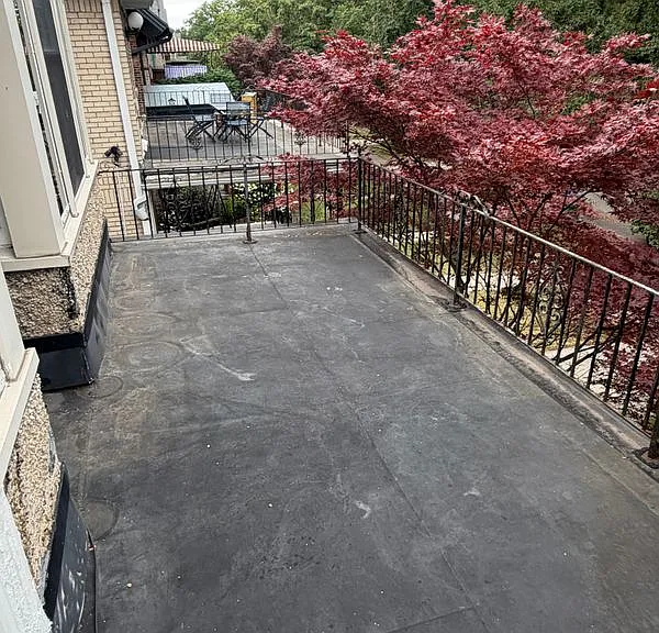 542 Richmond Ave #UPPER — Photo 5