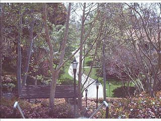 1st image of 7585 Charmant Dr #808