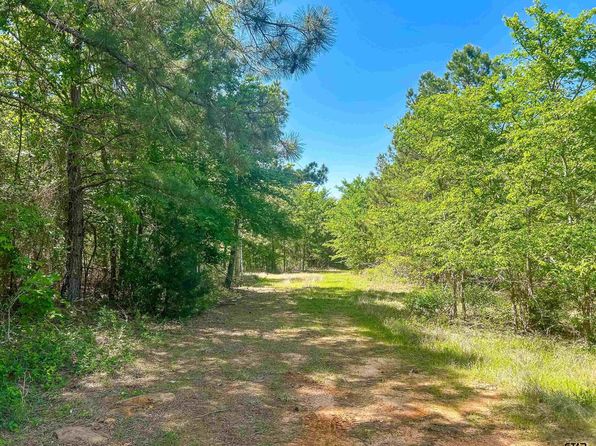 County Road 4814, Ben Wheeler, TX 75754