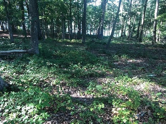 3rd image of 197 E Shore Dr Lot 47