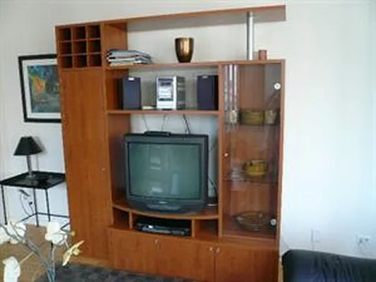 Rented by Douglas Elliman | media 22