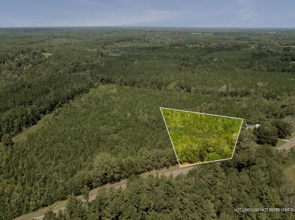 5 Coppers Ford Rd, Tylertown, MS 39667